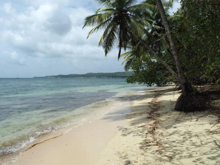 Katalea - Blue Dream, Plage, Piscine, Bar Grand-Bourg  المظهر الخارجي الصورة