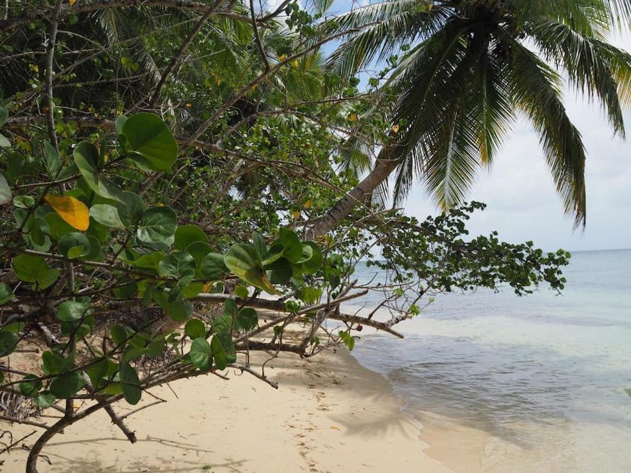 Katalea - Blue Dream, Plage, Piscine, Bar Grand-Bourg  المظهر الخارجي الصورة