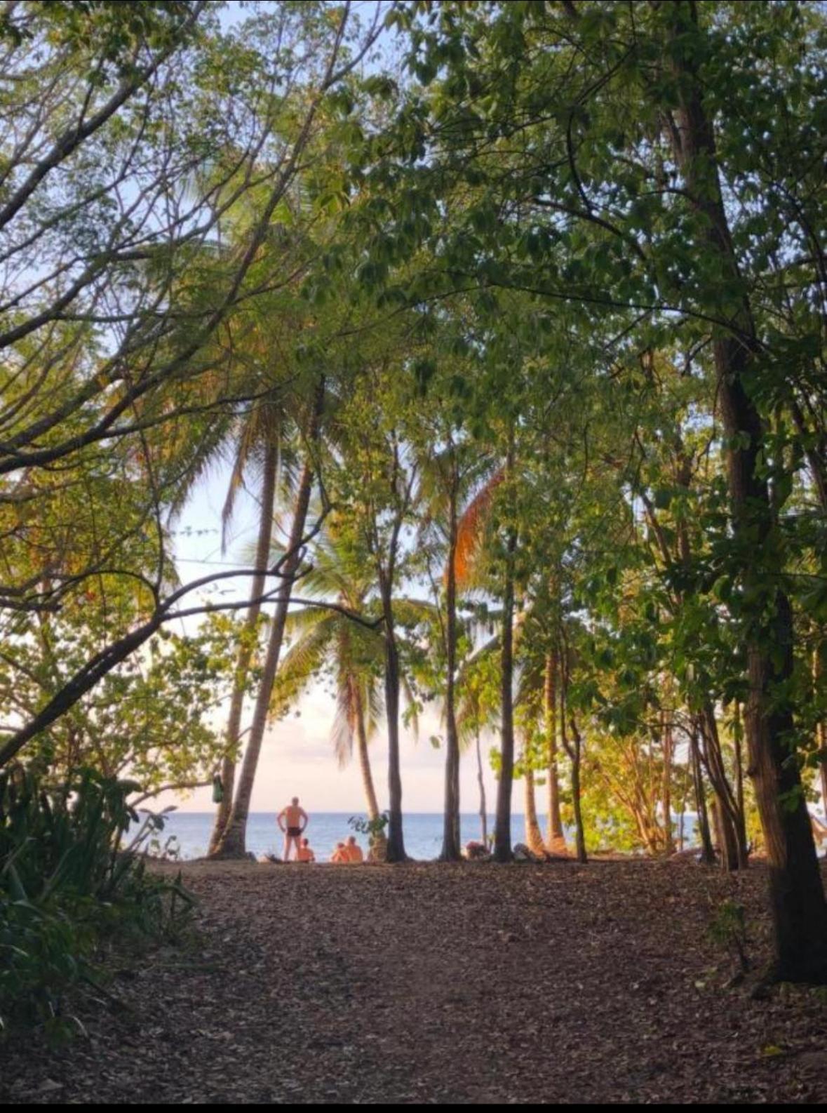 Katalea - Blue Dream, Plage, Piscine, Bar Grand-Bourg  المظهر الخارجي الصورة